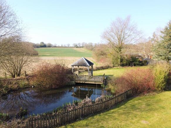 View of Pond