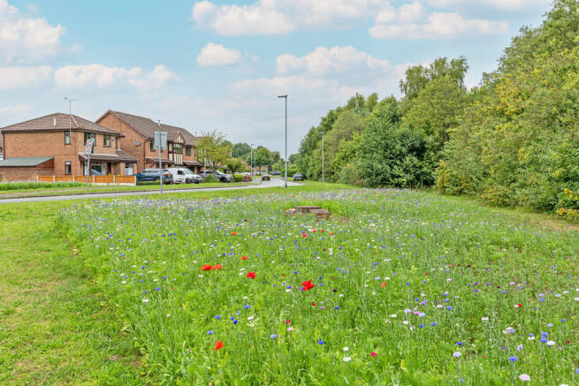 Communal Green 