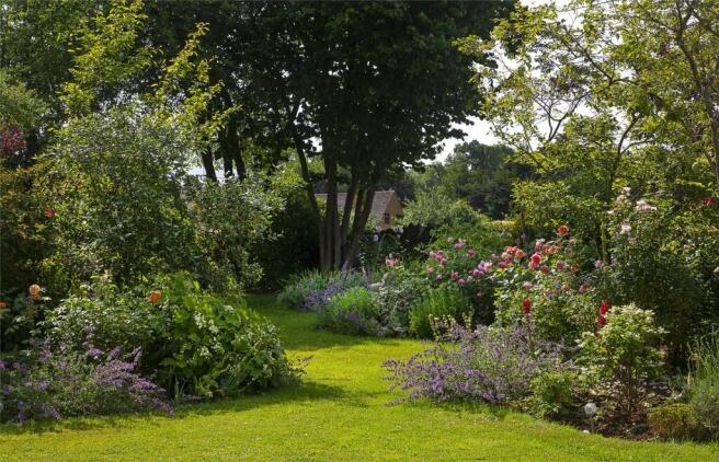 Wild Garden