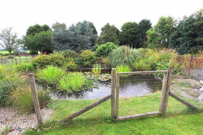 Fish Pond