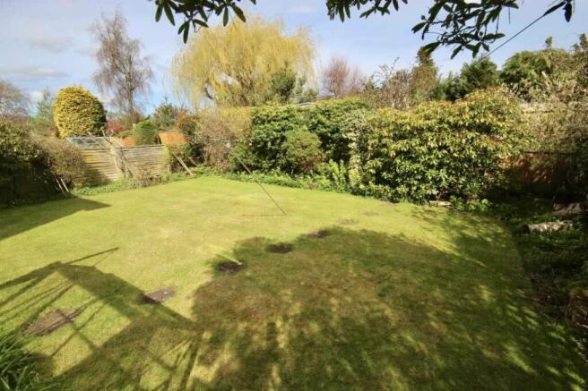 Back Garden