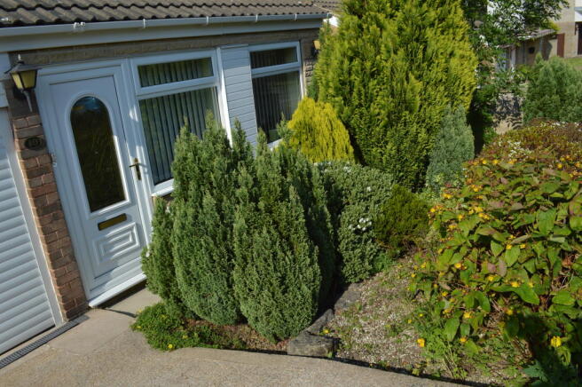 Photo 38