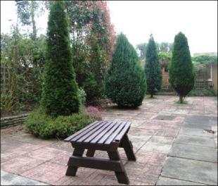Patio area
