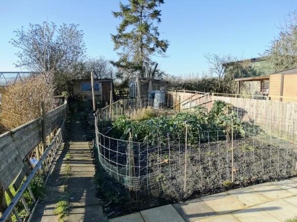 Vegetable Plot