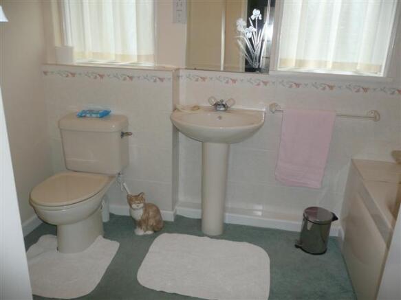 Photo 11