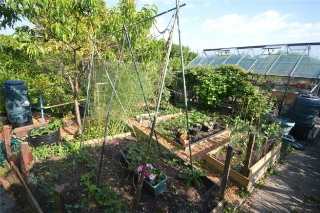 Vegetable Plot