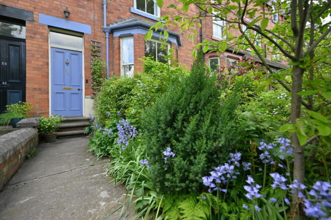 Photo 29