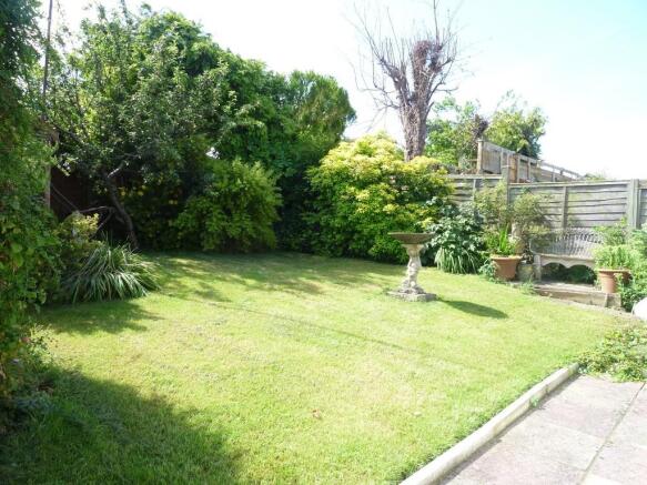 Photo 15