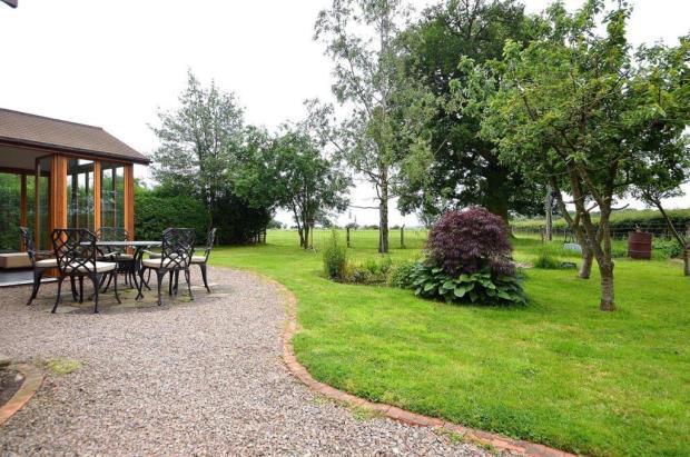 Garden Image 3