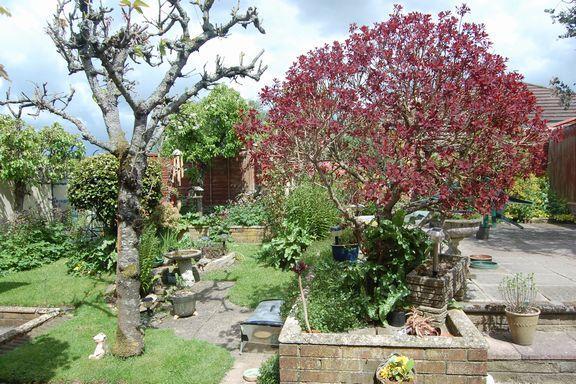 Garden 1