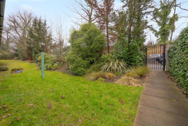 Forest Close-4.jpg