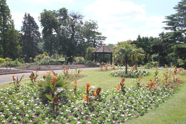 Photo 10