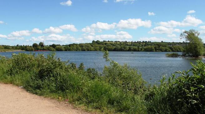 country park.jpg