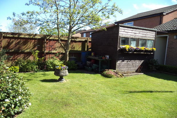 Photo 7