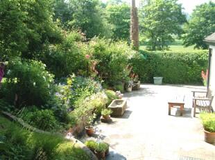 Garden 1