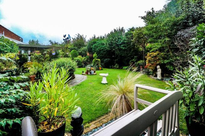 Garden at Back