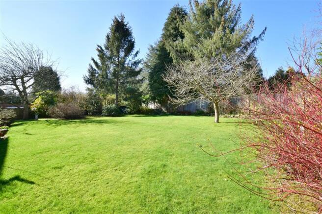 Rear Garden (Original)
