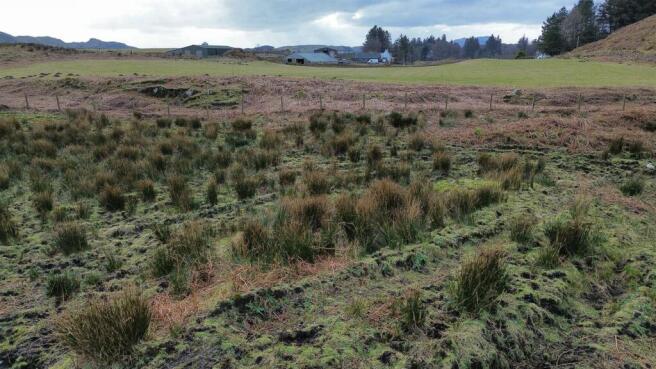 Building Plot Rear