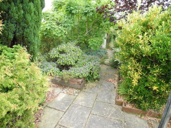Photo 11