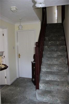Photo14