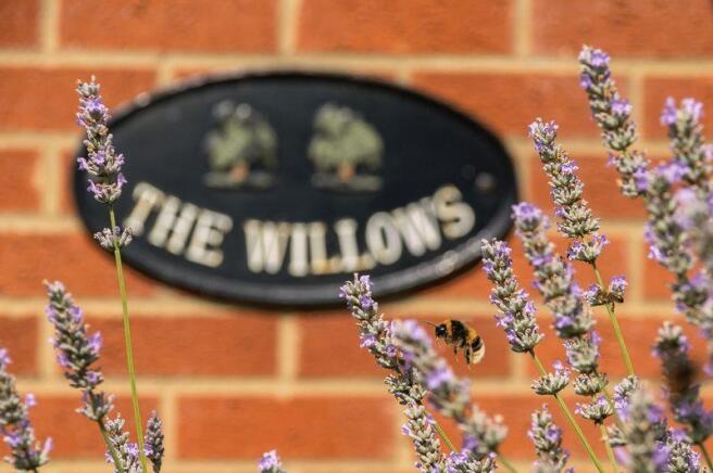 The Willows