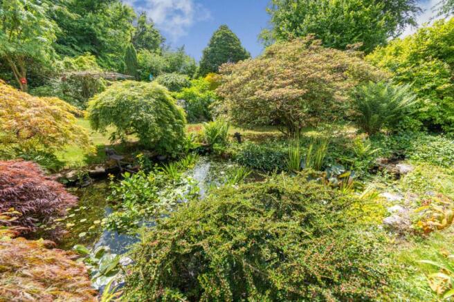 Garden Pond