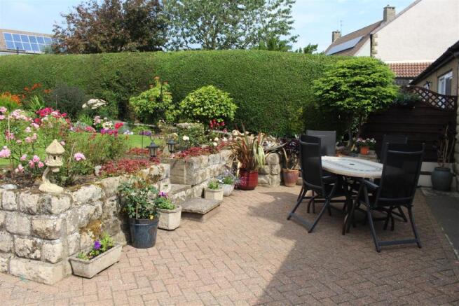 garden 5.JPG