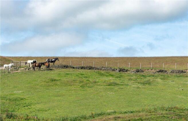 Rural Views