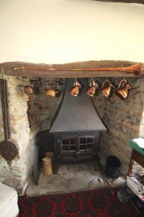 Picture 11