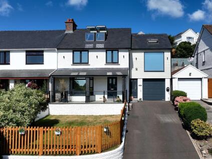 Riversdale Road, West Cross, Swansea