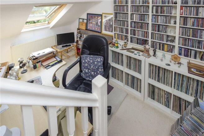 Study Area