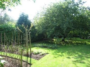 Garden3
