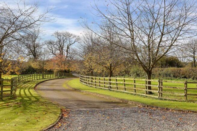Sweeping Driveway