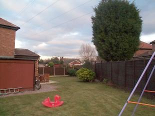 Rear garden