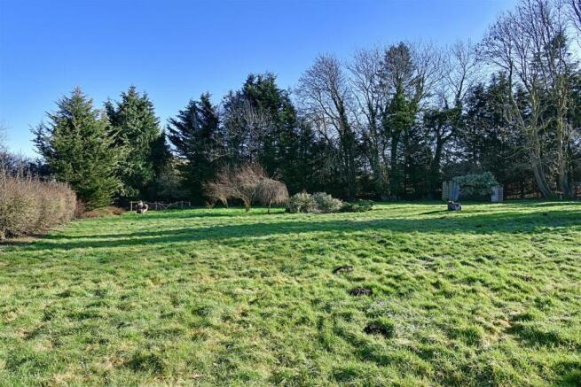 Garden 1_1.jpg