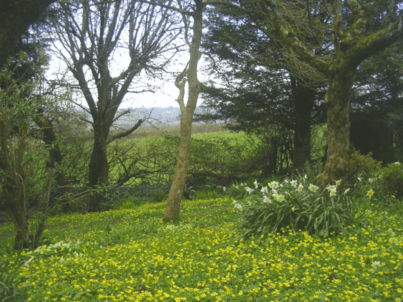 Garden & Orchard
