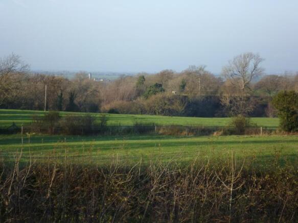 Image 15