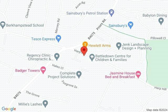 Google Maps Image
