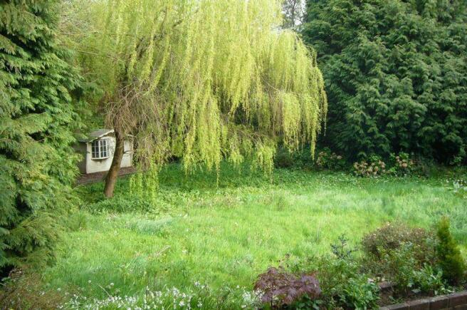 Garden and Willow