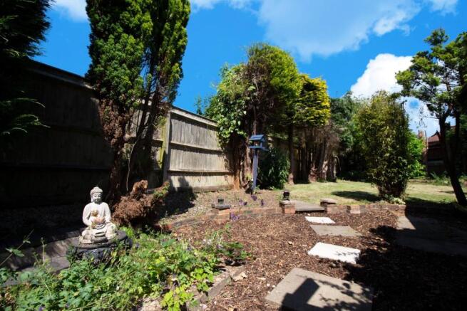 garden 2.jpg
