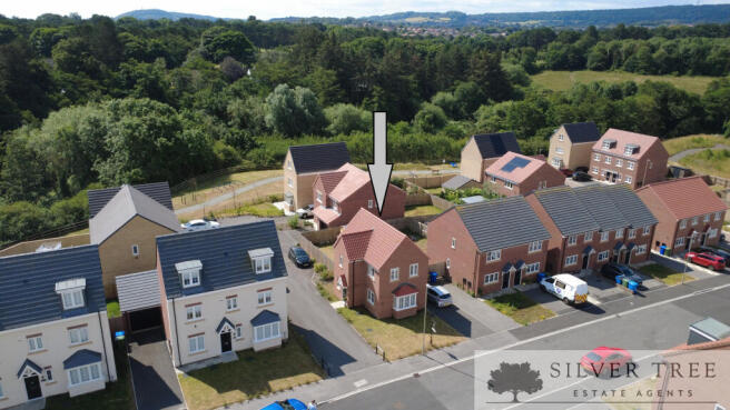 drone view