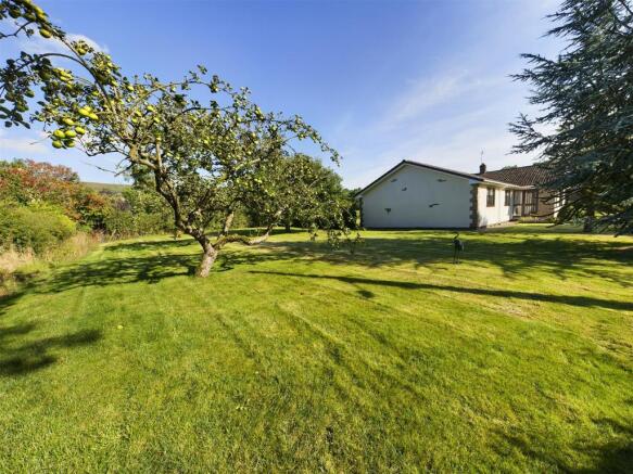 Orchard