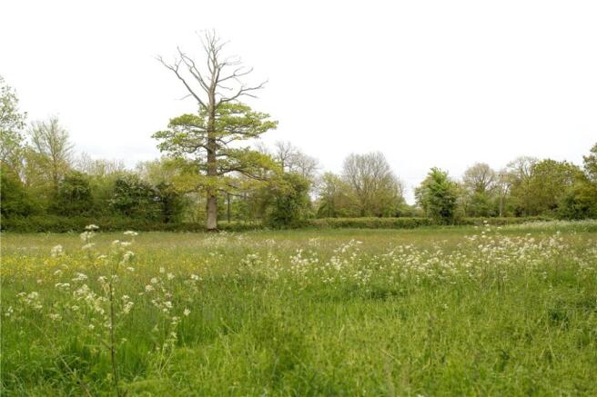 Countryside Views