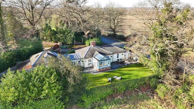 IMG_5571.jpeg