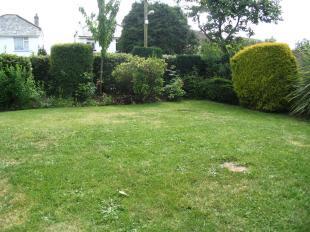 Lawned Area