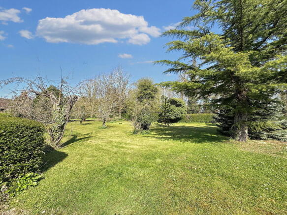Photo 45
