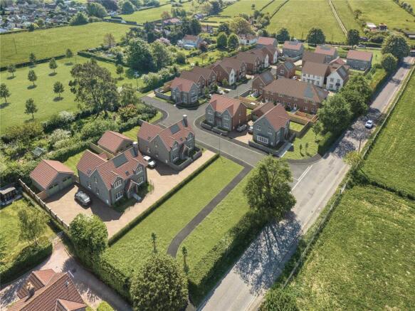 Development Cgi