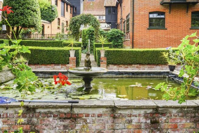 Lilly Pond