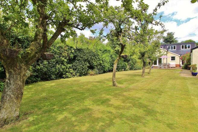 Rear Garden Pic 4