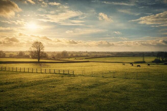 Red Kite Meadows View